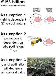 Meaning that while flowers are benefiting from being pollinated, bees are also receiving benefits in return. Where Is The Value In Valuing Pollination Ecosystem Services To Agriculture Sciencedirect