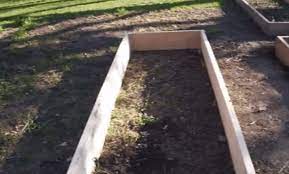 What do i put on the bottom of a raised garden bed australia? Should I Put Rocks In The Bottom Of My Raised Garden Bed Gardening Channel
