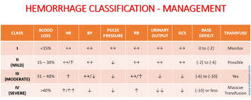 Image result for Hemorrhage Classification