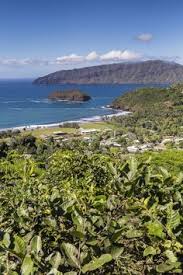 Taxis et automobiles bénéficient d'un réseau routier en fréquente amélioration grâce au bétonnage des routes. 39 Idees De Iles Marquises En 2021 Iles Marquises Polynesie Polynesie Francaise