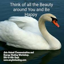 May God Shower His Choicest Blessings On You Wishing You Happiness Good Health And A Great Year Ahead Healing Workshop Energy Healer Energy Healing