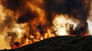 Hutan desa setianegara merupakan spot yang tepat buat kamu yang ingin menyepi. Kebakaran Gunung Ceremai Berhasil Dipadamkan Luas Yang Terbakar Nasional Tempo Co