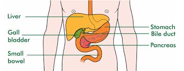 Rarely, nets can also develop in other parts of the body, including in the liver, gallbladder, bile ducts, kidneys, ovaries, or testicles. Can Excessive Burping Be A Sign Of Pancreatic Cancer