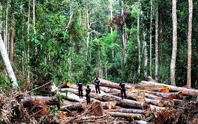 Isu pencemaran alam sekitar juga dikaitkan dengan kenaikan mendadak populasi manusia di sesuatu kawasan yang mana ianya melebihi kekuatan masyarakat itu untuk menguruskan sisa buangan mereka. Bajet 2019 Pakar Ekologi Harap Putrajaya Fokus Isu Alam Sekitar Free Malaysia Today Fmt