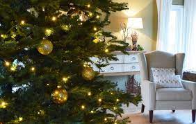 Er brachte mir die speisekarte. Lichterketten Tipps Oder Wie Werden 90 Meter Lichterkette Dekoriert Mrs Greenery