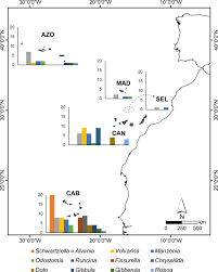 Chiellini is the mvp (by most votes), france is the main disappointment. Restructuring Of The Macaronesia Biogeographic Unit A Marine Multi Taxon Biogeographical Approach Scientific Reports