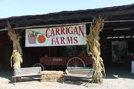 Family feud carly carrigan dd. Carrigan Farms Mooresville 2021 All You Need To Know Before You Go With Photos Mooresville Nc Tripadvisor