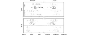 È di origini spagnole, e precisamente andaluse. Phenological Responses Of Ash Fraxinus Excelsior And Sycamore Acer Pseudoplatanus To Riparian Thermal Conditions Sciencedirect