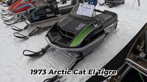 Image result for Sable Black 1973 Snowmobile