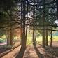 Autumn Berries: Nature mindfulness and Herbal event image