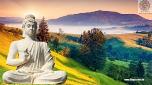 Wallpapers » w » 74 wallpapers in wallpapers of buddha collection. Gautam Buddha Wallpapers