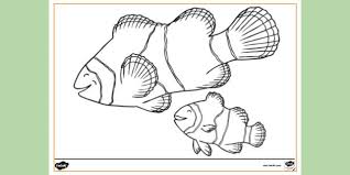 If you've got arty kids with a vibrant imagination, have a browse through our free coloring pages, download all your favorites, and take your markers and crayons out for a spin. Free Clown Fish Colouring Page Colouring Sheets