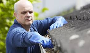 But there are a few factors that might make you reconsider. How Do You Clean Gutters Express Co Uk