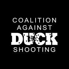 Coalition Against Duck Shooting