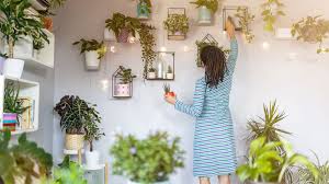 That's why we rounded up some of the best indoor hanging plants to help you the plant will grow into a long vine over time, so refrain from trimming the leaves to allow them to grow nice and long for a hanging basket. 15 Fragrant Indoor Plants
