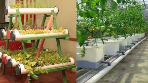 10 Small Kitchen Garden Ideas Most Elegant As Well As Attractive Vertical Vegetable Gardens Vertical Vegetable Garden Small Space Gardening
