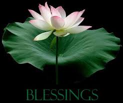 Image result for blessings
