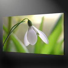 We did not find results for: Canvas Print Pictures High Quality Handmade Free Next Day Delivery