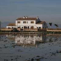 En la calle del ángel número 6 este antiguo hotel está ocupado por oficinas. Die 10 Besten Hotels In Deltebre Spanien Ab 50