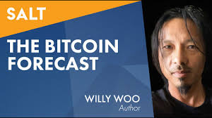 SALT — Willy Woo: The Bitcoin Forecast