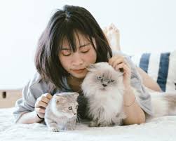 Every year, 23 rd march is the official celebration date of happy puppy day. National Pet Day