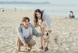 Drama Korea Lovestruck In The City Episode 8 Subtitle Indonesia Giladrakor Com