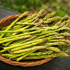 Image result for Asparagus officinalis