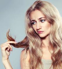Click now to view our top 10 recommendations to repair split ends and restore it is the first shampoo and conditioner set that has left my hair looking and feeling simply amazing. Beauty And Fashion With Lina Top 20 Shampoos For Dry And Damaged Hair Best Products Of 2018