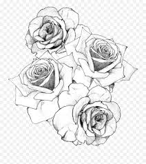 We did not find results for: 26 White Rose Clipart Tumblr Transparent Free Clip Art Stock Bunch Of Roses Drawing Png White Rose Transparent Background Free Transparent Png Images Pngaaa Com