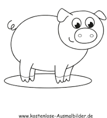 Malvorlagen Schweinchen Kostenlos Coloring And Malvorlagan