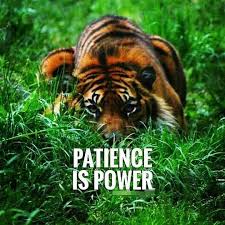 Pin On Quote Of The Day Daily Inspirational Wisdom