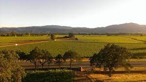 Pin On Touring The Napa Valley