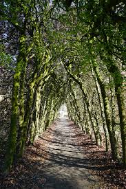 Dann sind sie bei mir genau richtig! Skulpturen Garten Museum De Fundatie