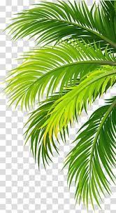 Green Palm Tree Sticker Coconut Water Air Filter Plant Leaves Transparent Background Png Clipart Palm Tree Sticker Palm Tree Art Palm Tree Png
