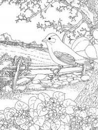 Kleurplaten hart hieronder vind je 50 hart kleurplaten. Kleurplaat Hart Mandala Voor Volwassenen Leukekleurplaten Nl