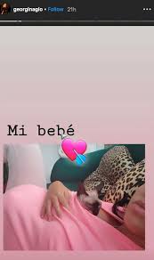 Cristiano ronaldo, avrupa'nın beş büyük liginde aktif olan oyuncular arasında en fazla gol atan oyuncu konumunda (395 lig golü). Cristiano Ronaldo Ist Partner Georgina Rodriguez Funken Frischen Schwangerschaft Geruchte Wie Sie Schmust Katze Aktuelle Boulevard Nachrichten Und Fotogalerien Zu Stars Sternchen