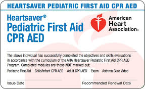 The 2020 american heart association guidelines for cardiopulmonary resuscitation and emergency cardiovascular care (2020 aha guidelines for cpr and ecc) is the ultimate reference text for professionals. Heartsaver Pediatric First Aid Cpr Aed Northeast Medical Institute