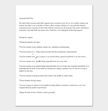 14 Free Birth Plan Templates Ms Word Pdf Doc Formats