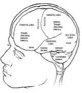 Check spelling or type a new query. Frequently Asked Questions Fmcsa Dot Physical And Mental Requirements