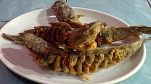 Makan resep masakan lele balado koranmu adalah duniamu apr lele balado bahan ekor resep gulai daun singkong lele bersihkan potong potong siung bawang merah siung bawang putih buah cabe. Gambar Masakan Ikan Lele Goreng Resep Ikan Lele Bakar Dijamin Makan Siang Anda Menjadi Semangat Tribun Pontianak Jevt Online