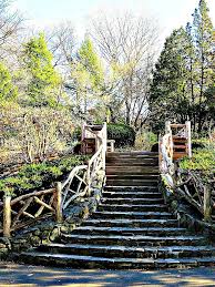 Shakespeare Garden Central Park New York City The Four Acre Garden Is Near The Delacorte Theater Which Hosts The Public Theater S Annual Summer Shakespeare New York City Travel Shakespeare In The