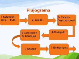 Secado De Frutas Con Horno Fruta Frutas Conservacion De Alimentos
