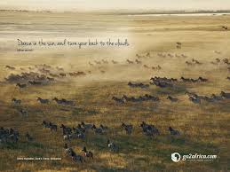 Dance In The Sun And Turn Your Back To The Clouds Zebra Migration Jack S Camp Botswana Click Here For Downloadabl Wilderness Travel Safari Luxury Safari