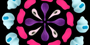 Genital Piercings- Do Prince Alberts Enhance Sensation? - Find Out More