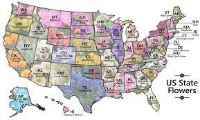 Each state is listed below with its corresponding capital, state bird, and state flower: All The State Flowers In The U S Planted On One Map Bloomberg