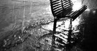 Sezen Aksu Seyirlik Degil Omurluk Olsun Outdoor Decor Youtube Park Bench