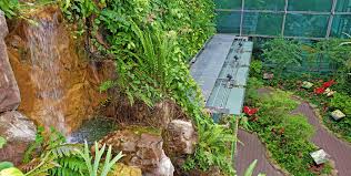 Check spelling or type a new query. Singapore Changi Airport Butterfly Garden Photo Tour Point Me To The Plane