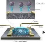 Rapid Detection of COVID-19 Causative Virus (SARS-CoV-2) in ...