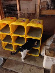 Cats Toys Ideas Cat Condo In Use Made From Tidy Cat Bucket More On Ideal Toys For Small Cats Tidy Cat Litter Tidy Cats Cat Room
