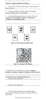 solved activity 3 the cell cycle and mitosis 1 complet